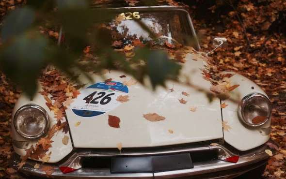 How to cancel car tax