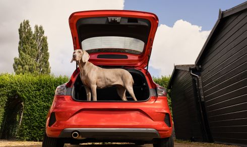 Salary sacrifice vs. company car vs. car allowance